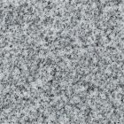 Georgia Grey